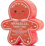 Spongelle Gingerbread Bodywash Infused Buffer