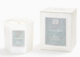 Antica Farmacista Candle