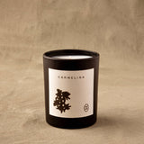Carmelina Luxury Candle | Bergamot, Warm Woods & Vanilla