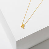 *Larissa Loden Zodiac Necklace